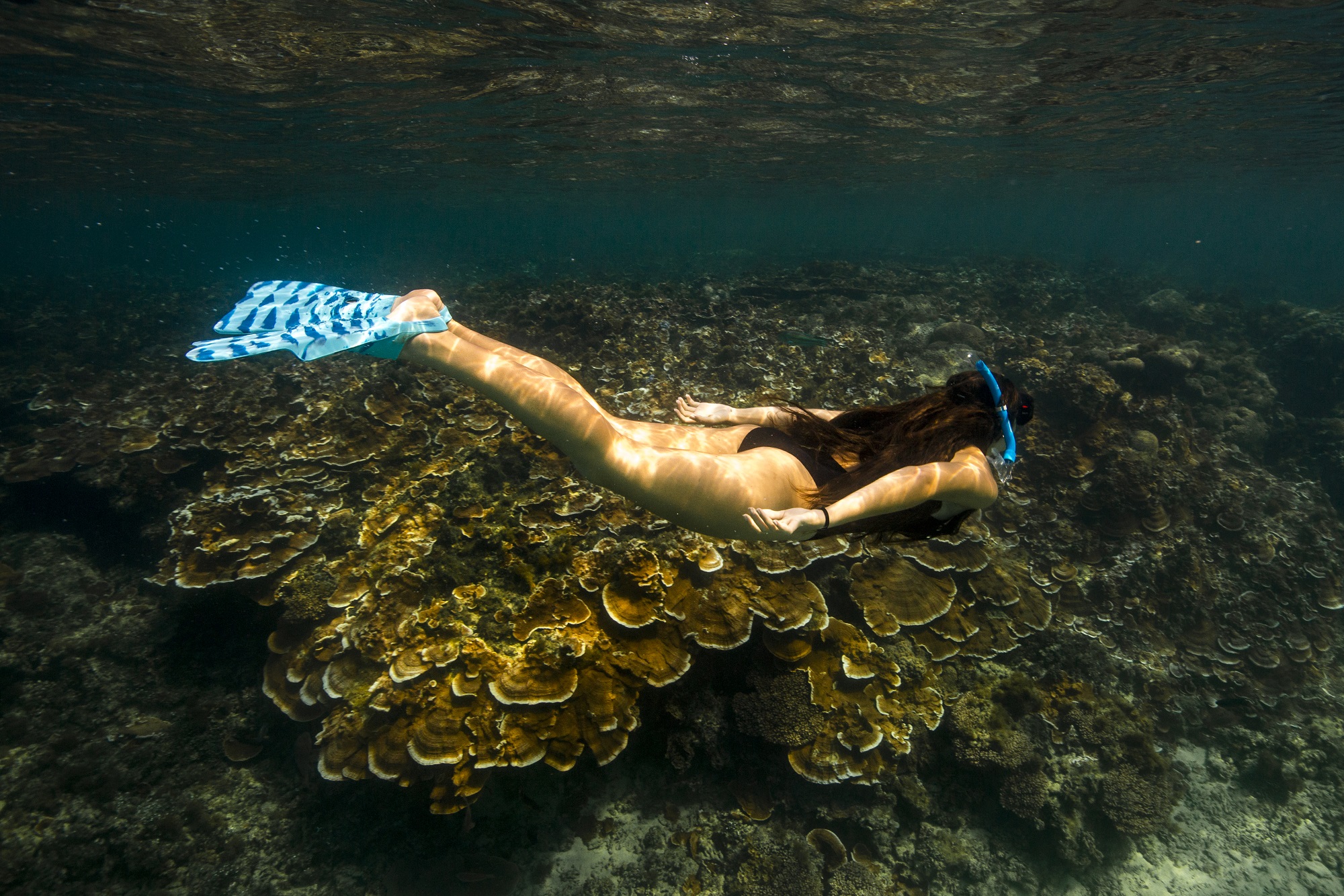 Underwater Activities